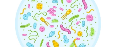 25. 6. 2023 Světový den mikrobiomu